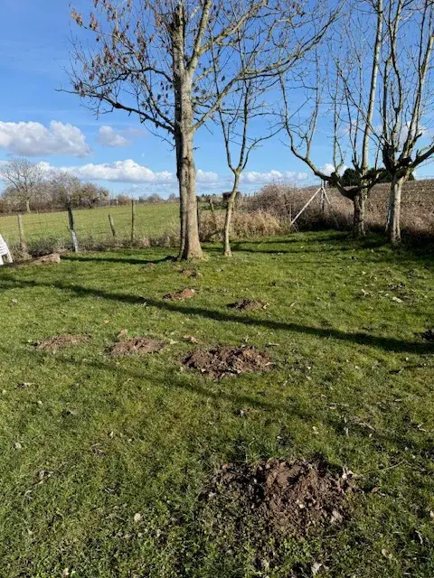 Résultat intervention taupier