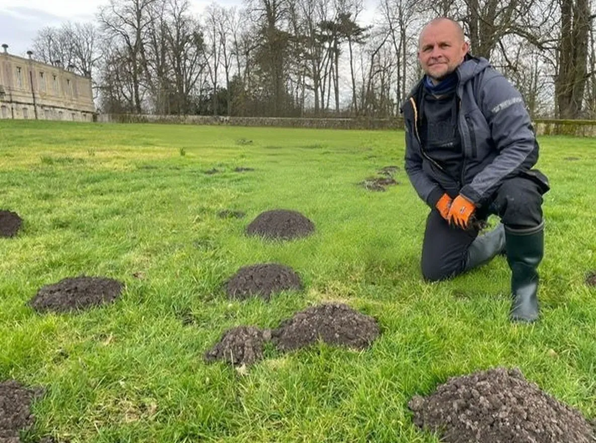 Intervention taupier professionnel